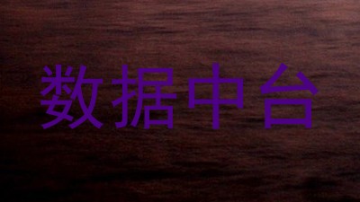 数据中台