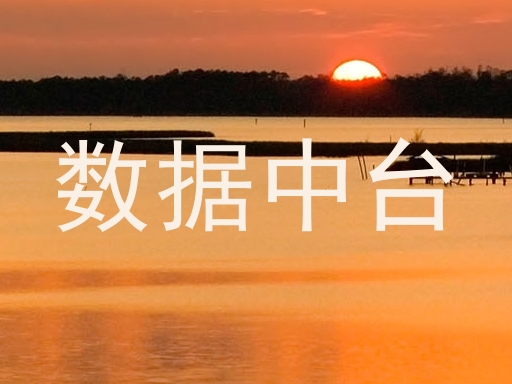 数据中台