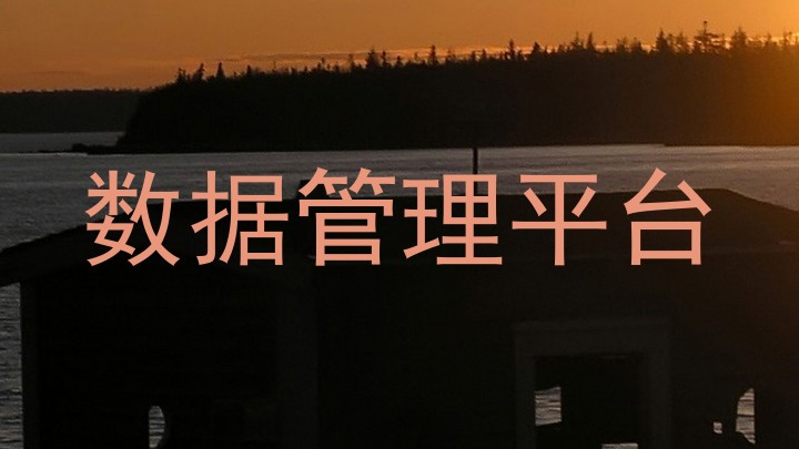 数据管理平台
