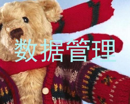 数据管理