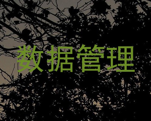 数据管理