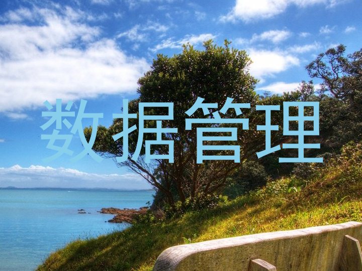 数据管理