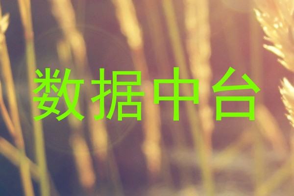 数据中台