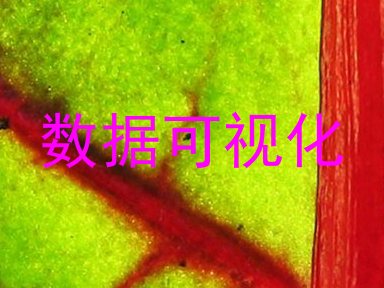 数据可视化