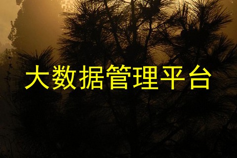 大数据管理平台