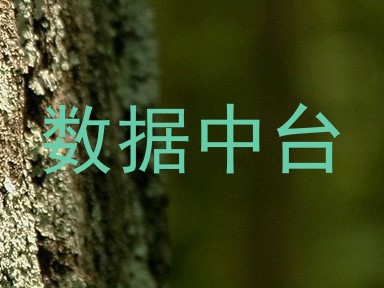 数据中台