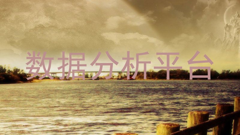 数据分析平台