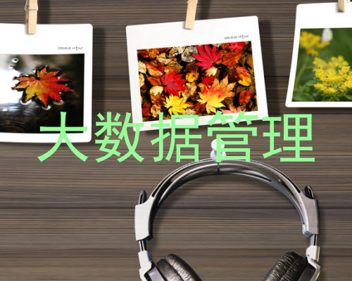 大数据管理