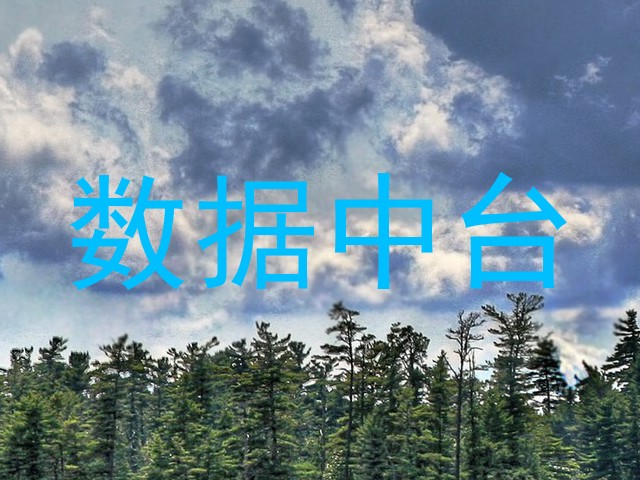 数据中台