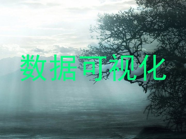 数据可视化