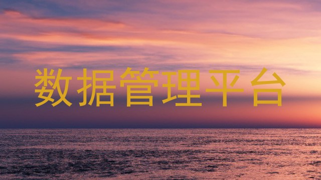 数据管理平台