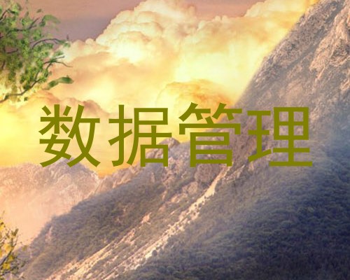 数据管理