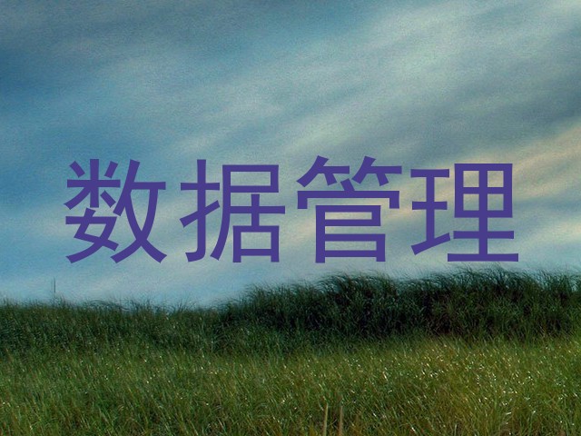 数据管理