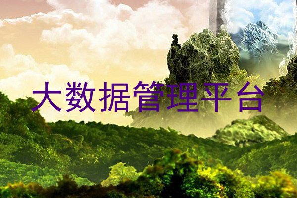 大数据管理平台