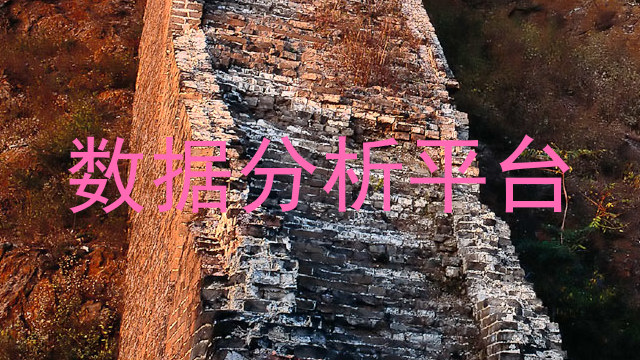 数据分析平台