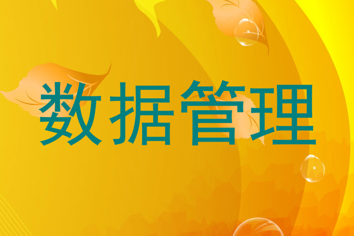 数据管理