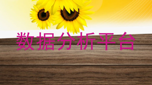 数据分析平台
