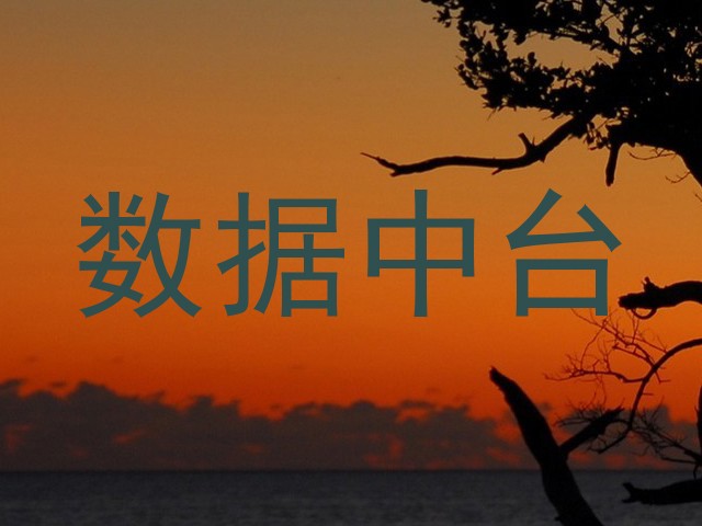 数据中台