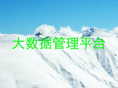 大数据管理平台