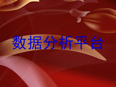 数据分析平台
