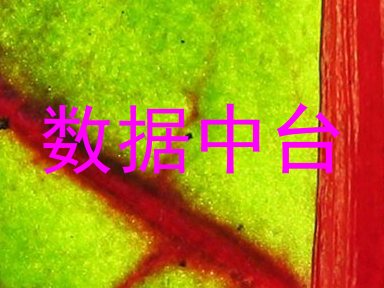 数据中台