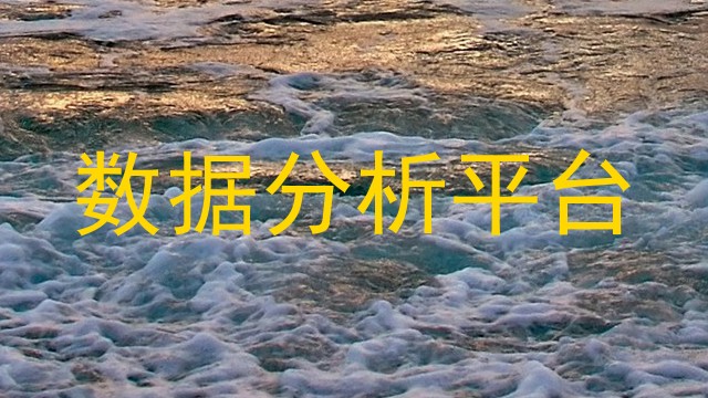 数据分析平台