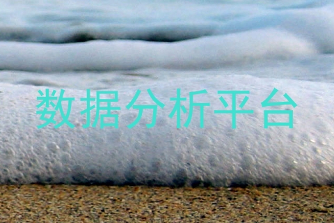 数据分析平台