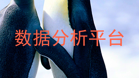数据分析平台