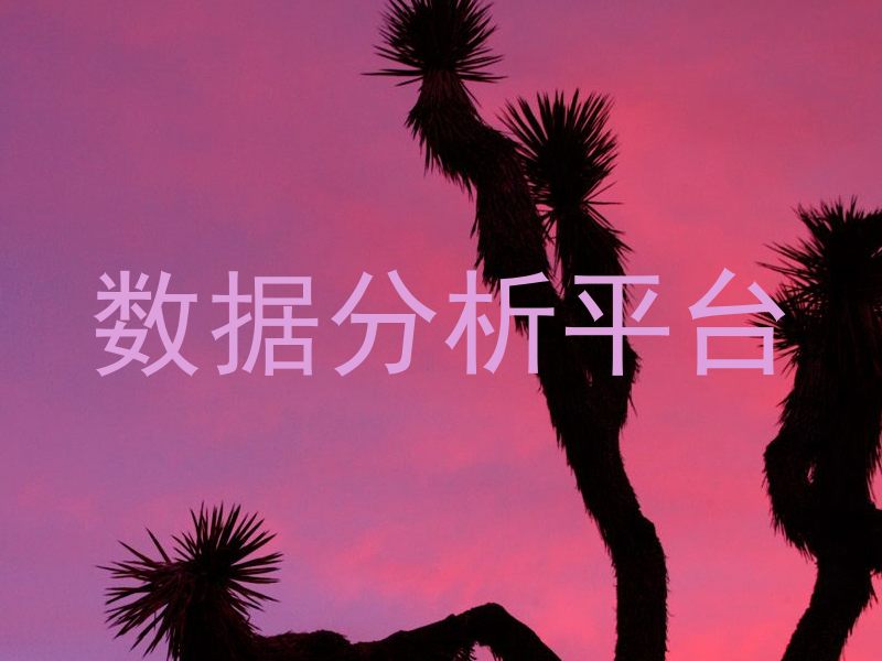 数据分析平台