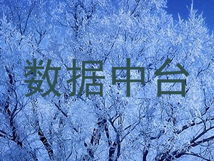 数据中台