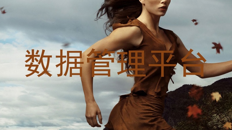 数据管理平台