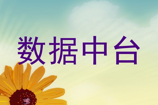 数据中台
