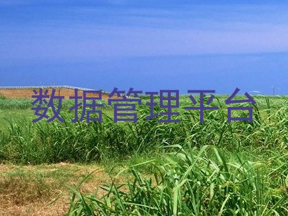 数据管理平台