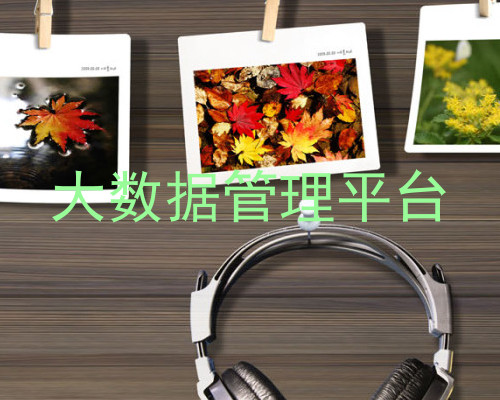 大数据管理平台
