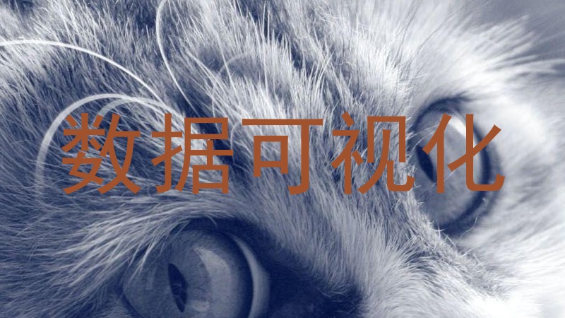 数据可视化