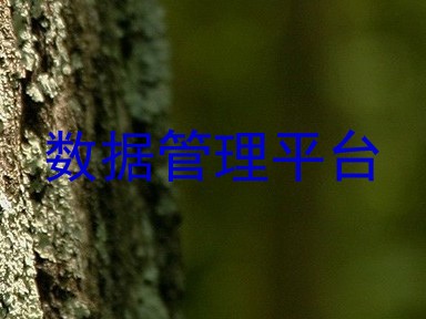 数据管理平台