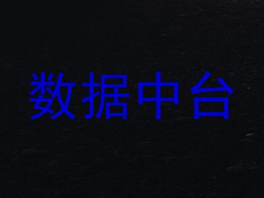 数据中台