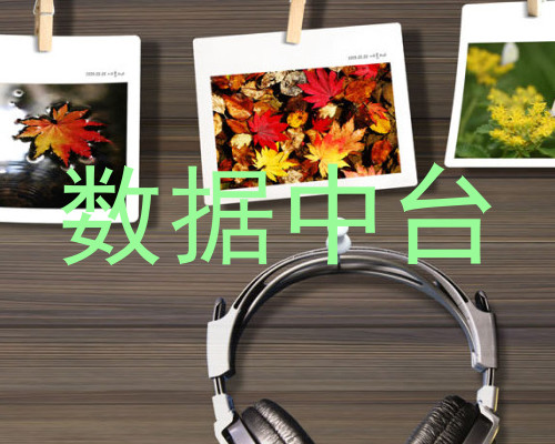 数据中台