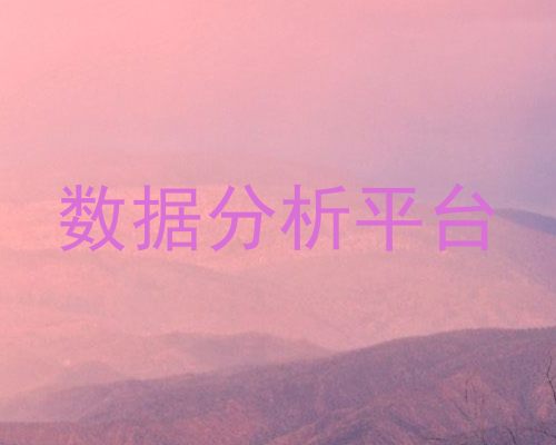 数据分析平台