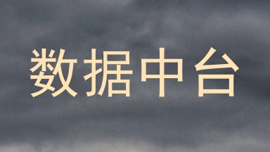 数据中台