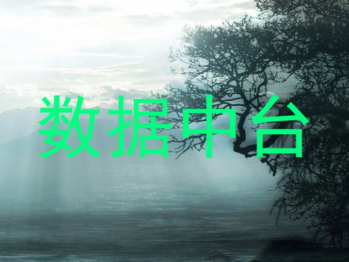 数据中台