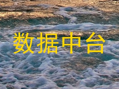 数据中台