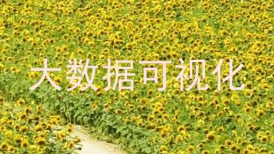 大数据可视化