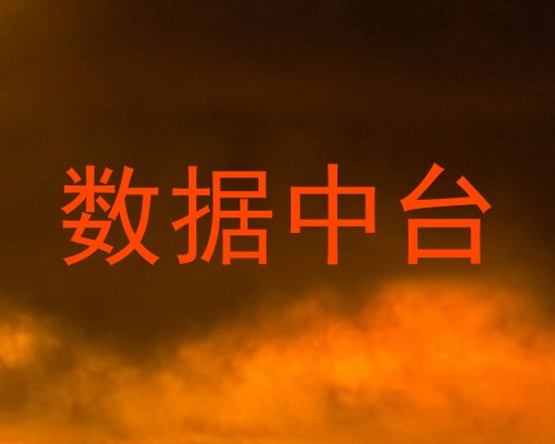数据中台