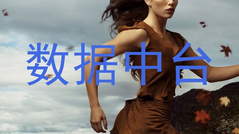 数据中台