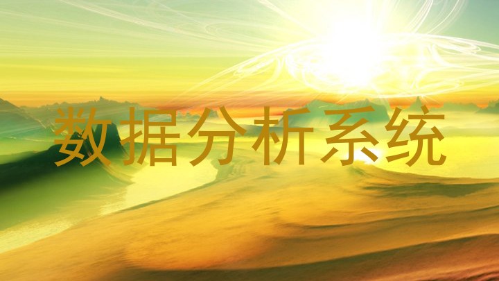 数据分析系统