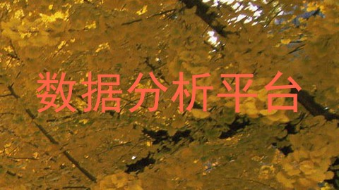数据分析平台