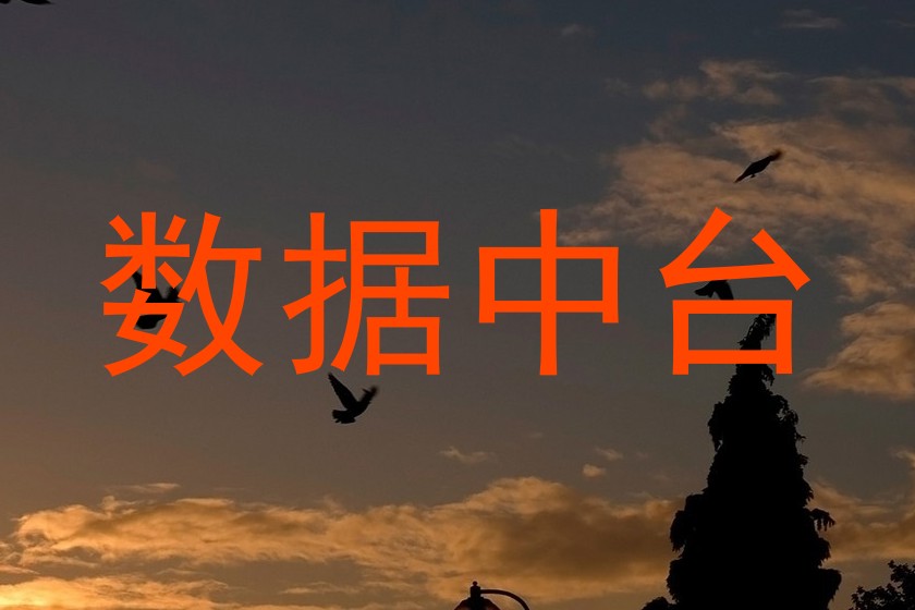 数据中台