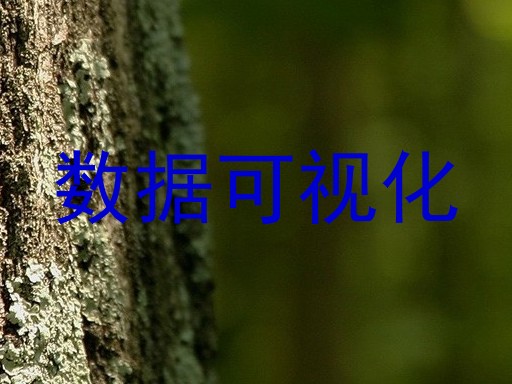 数据可视化