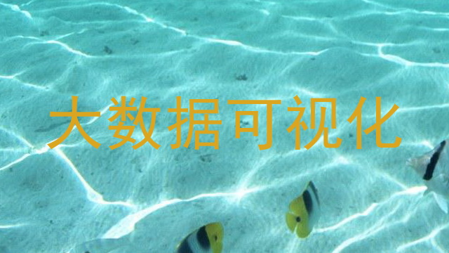 大数据可视化